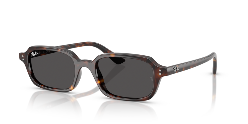 Ray-Ban RB4455F Zuri Sunglasses