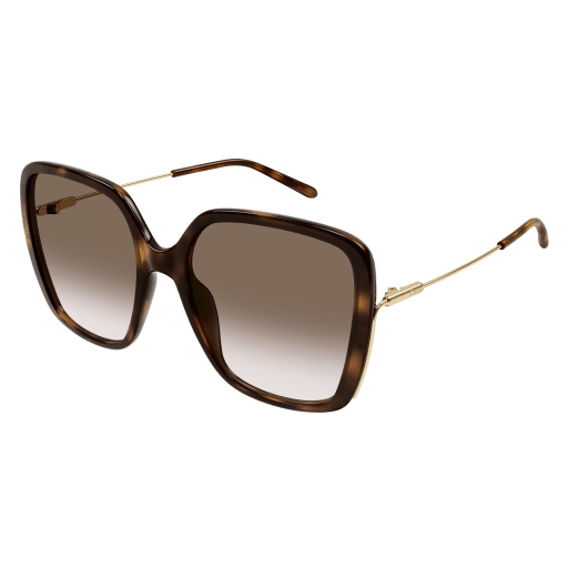 Chloé CH0173S Sunglasses