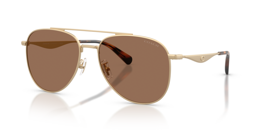 Coach HC7190 Cdp40 Sunglasses