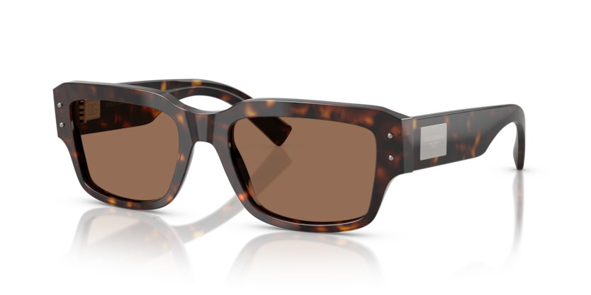 Dolce & Gabbana DG4483  Sunglasses