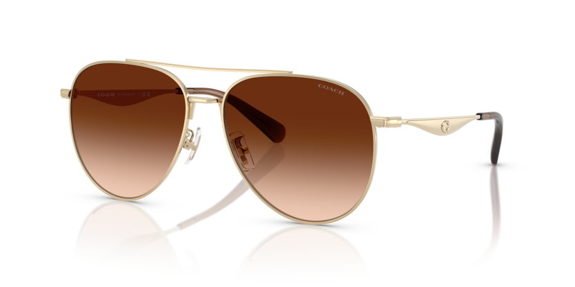 Coach HC7169 Cw193 Sunglasses