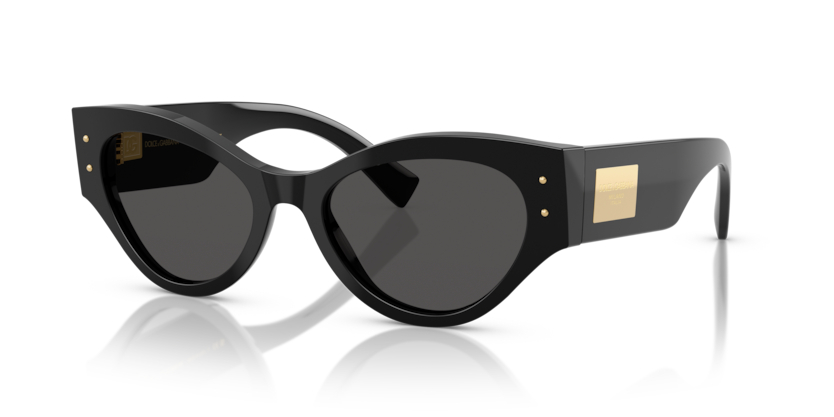 Dolce & Gabbana DG4480  Sunglasses