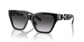 Emporio Armani EA4203U  Sunglasses