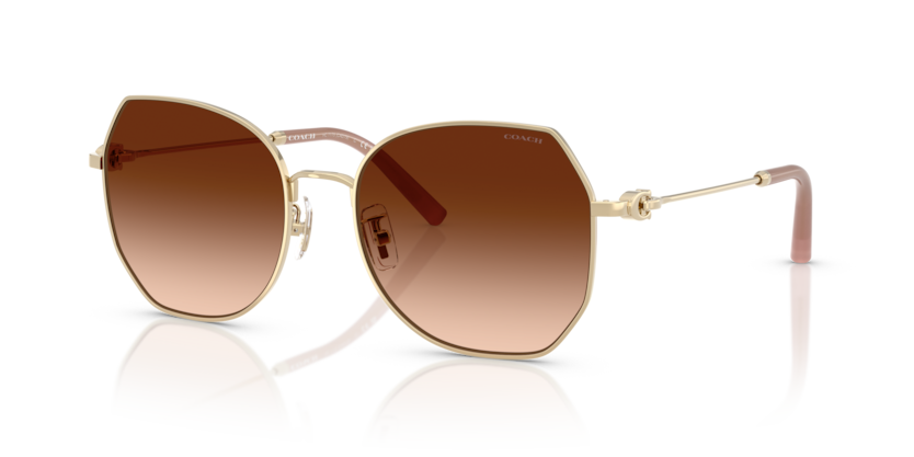 Coach HC7175 Cad79 Sunglasses