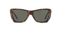 Persol PO0009  Sunglasses