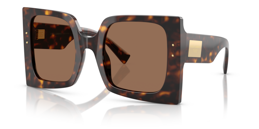 Dolce & Gabbana DG4490  Sunglasses