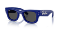 Ray-Ban RB4940B Wayfarer Puffer Sunglasses