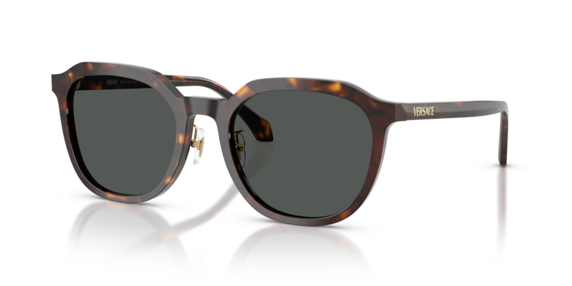 Versace VE4493D  Sunglasses