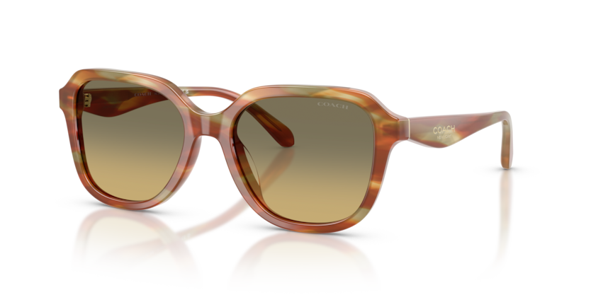 Coach HC8437U Cby87 Sunglasses