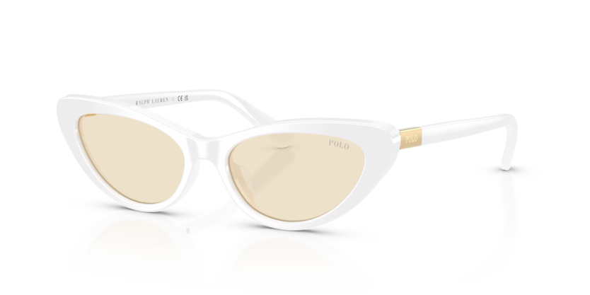 Polo PH4199U  Sunglasses