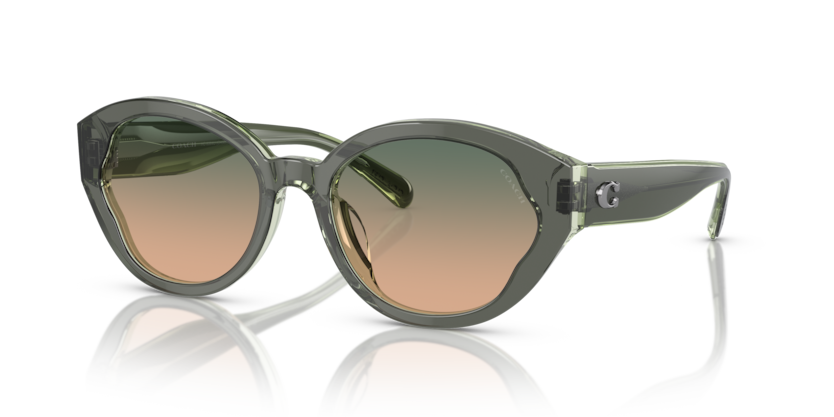 Coach HC8364U Ch569 Sunglasses