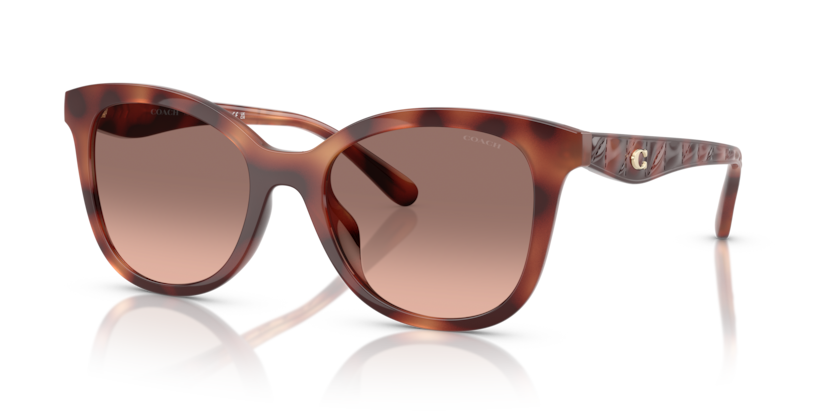 Coach HC8419U Cad25 Sunglasses
