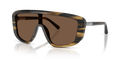 Dolce & Gabbana DG4520  Sunglasses