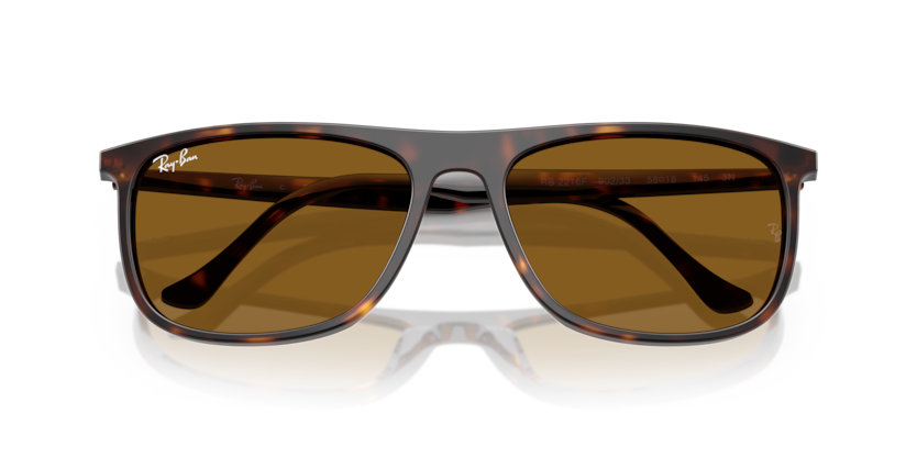 Ray-Ban RB2216F  Sunglasses