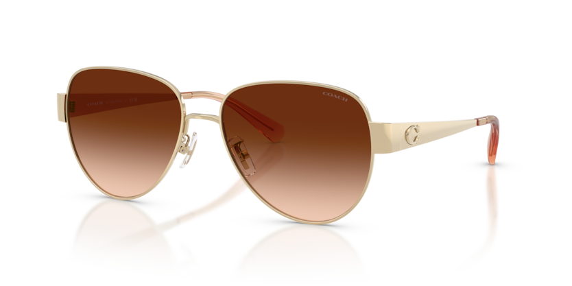 Coach HC7186 Cdp37 Sunglasses