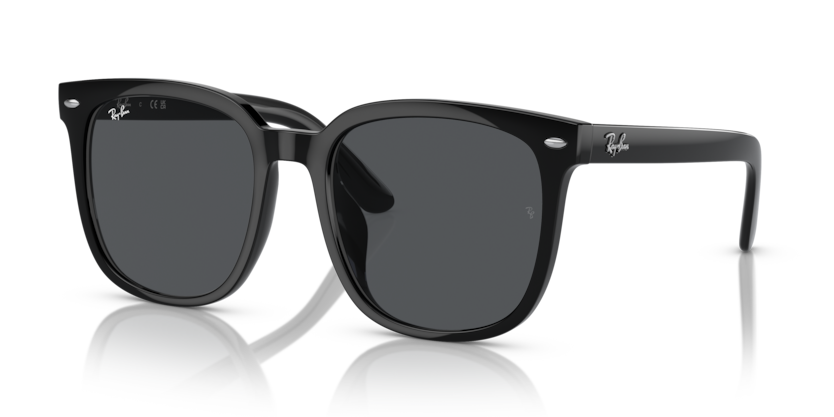 Ray-Ban RB4401D  Sunglasses