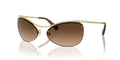 Swarovski SK7018  Sunglasses
