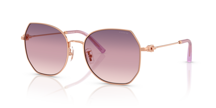 Coach HC7175 Cad79 Sunglasses