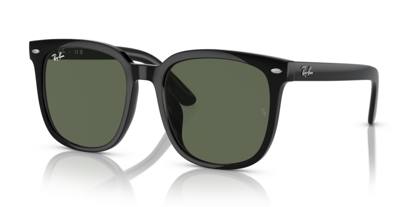 Ray-Ban RB4401D  Sunglasses