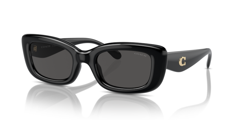 Coach HC8390U Cr610 Sunglasses