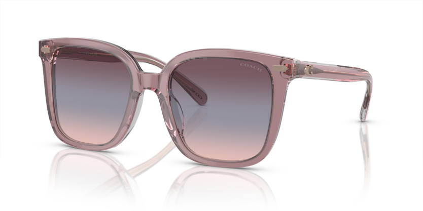 Coach HC8381U Cl918 Sunglasses