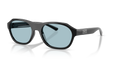 Arnette AN4380  Sunglasses