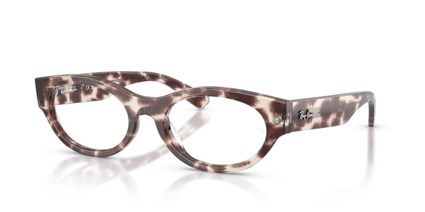 Ray-Ban Vista RX5447  Eyeglasses