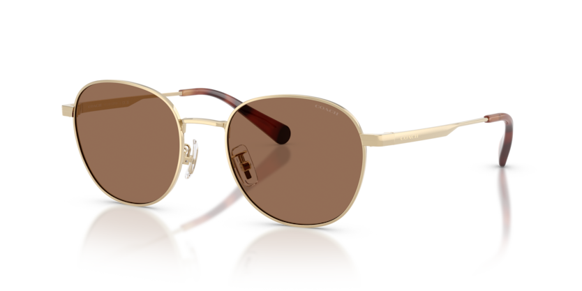Coach HC7191 Cdp36 Sunglasses