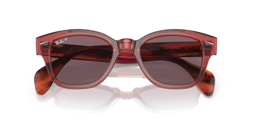 Ray-Ban RB0880S  Sunglasses