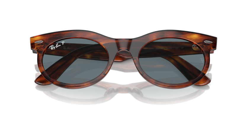 Ray-Ban RB2242 Wayfarer Oval Sunglasses