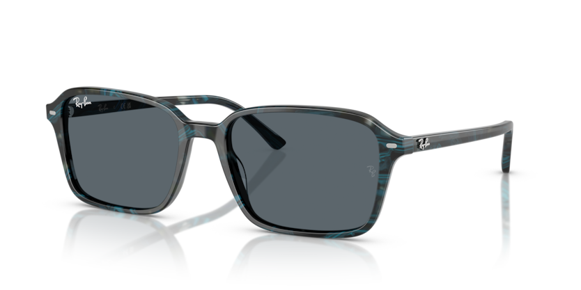 Ray-Ban RB2231F Raimond Sunglasses