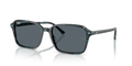 Ray-Ban RB2231F Raimond Sunglasses