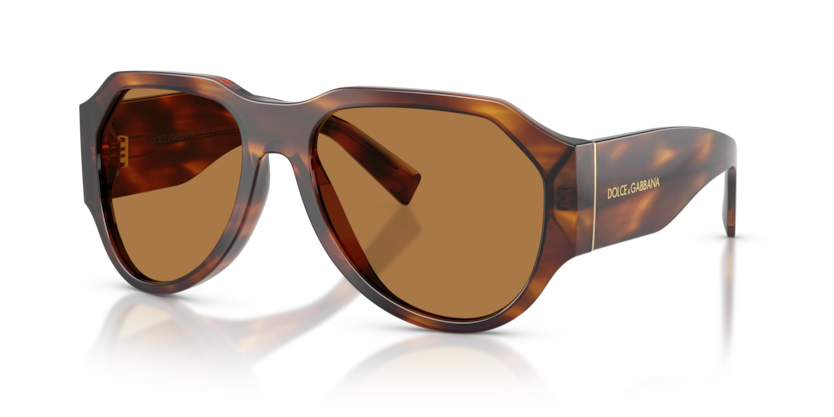 Dolce & Gabbana DG4504  Sunglasses