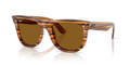 Ray-Ban RBR0502S Wayfarer Reverse Sunglasses
