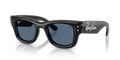 Ray-Ban RB4940B Wayfarer Puffer Sunglasses