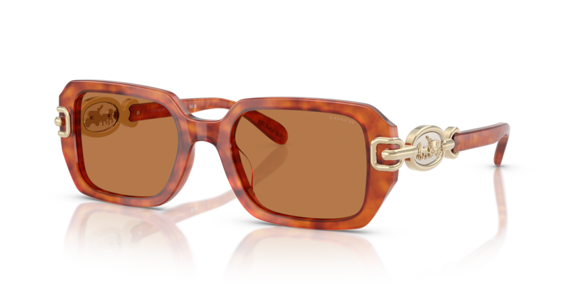 Coach HC8425U Cad74 Sunglasses