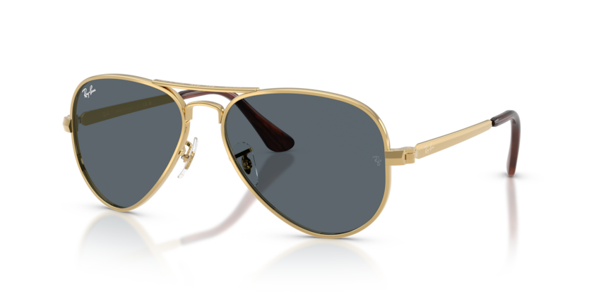 Ray-Ban RB3925 Aviator Max Sunglasses