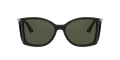 Persol PO0005  Sunglasses