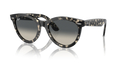Ray-Ban RB2241 Wayfarer Way Sunglasses