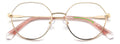 Polaroid PLD D490/G Eyeglasses