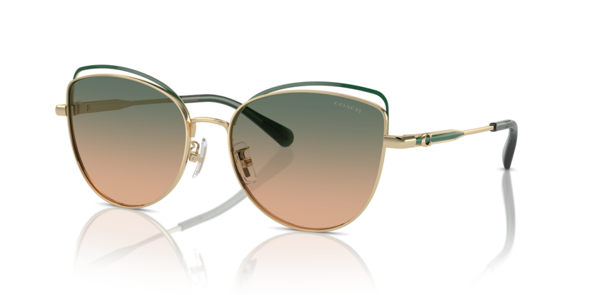 Coach HC7162 Cr621 Sunglasses