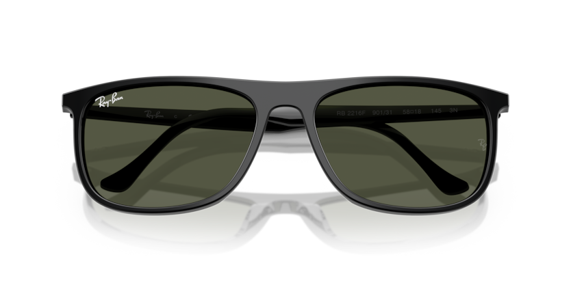 Ray-Ban RB2216F  Sunglasses