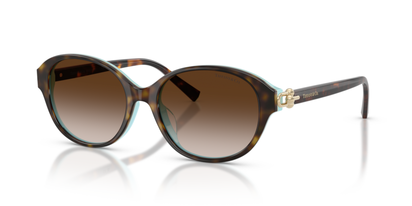 Tiffany TF4263D  Sunglasses