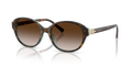 Tiffany TF4263D  Sunglasses