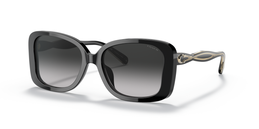 Coach HC8334U C7994 Sunglasses