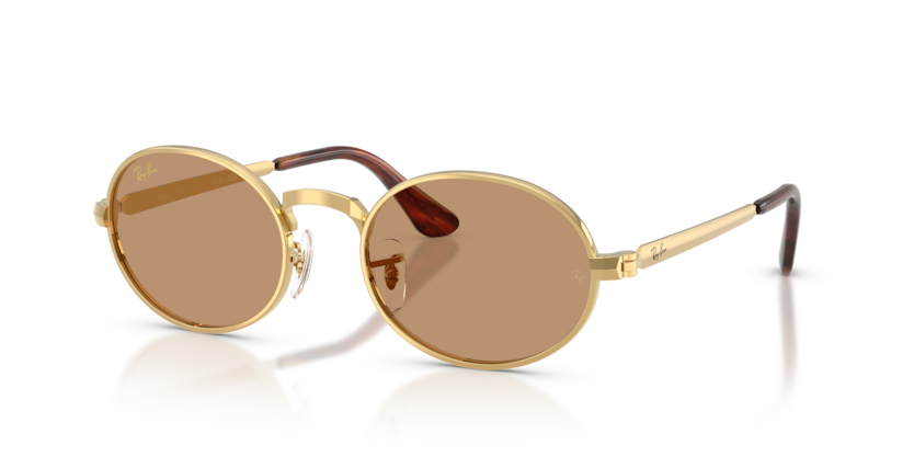 Ray-Ban RB3931  Sunglasses
