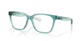 Costa Del Mar Optic 6A8016 Ocr 500 Eyeglasses