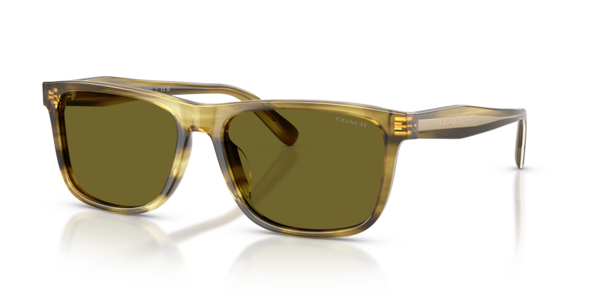 Coach HC8454U Cdp55 Sunglasses
