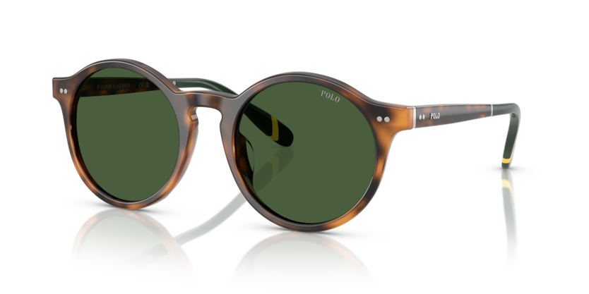 Polo PH4204U  Sunglasses