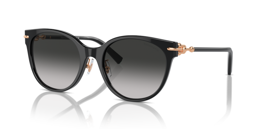 Tiffany TF4223D  Sunglasses